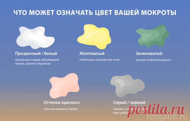 Мокрота: из-за чего появляется кашель с мокротой у взрослого и ребенка, какая бывает и что означает цвет мокроты