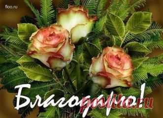 СПАСИБО и БЛАГОДАРЮ!
СОХРАНИТЬУстановить себе