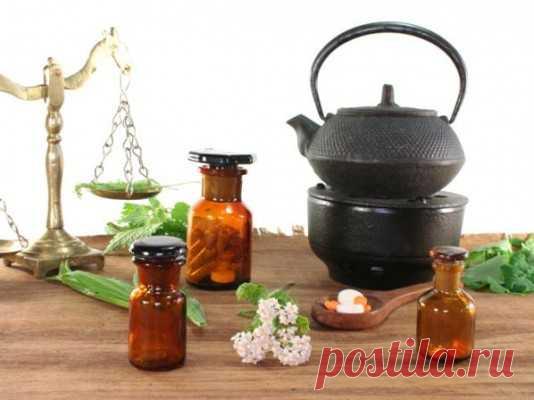 Спиртовая настойка чистотела применение в народной медицине