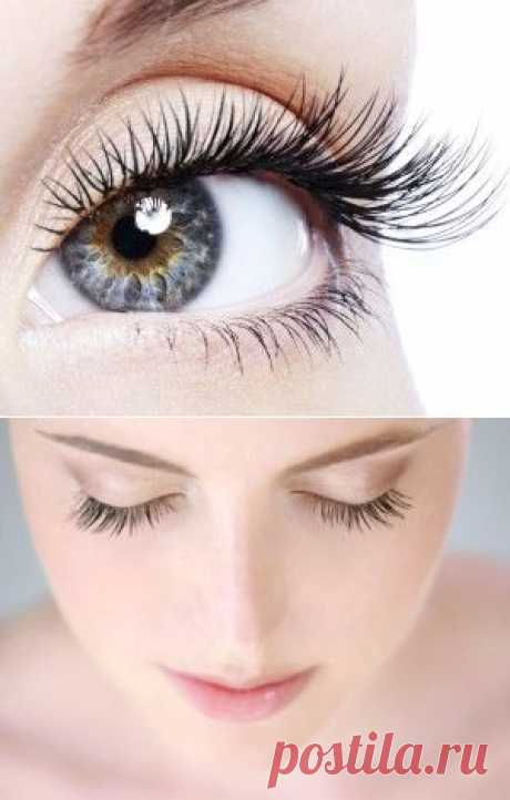 Доступные средства для роста ресниц в домашних условиях | Corizza