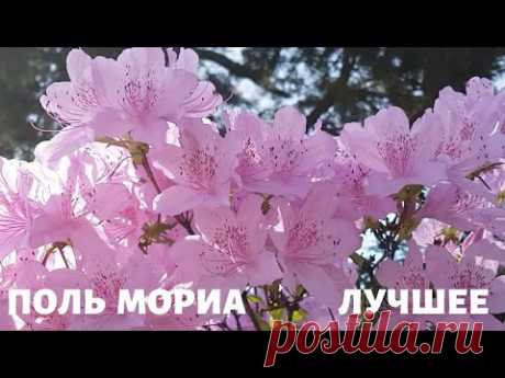 Оркестр Поля Мориа (Paul Mauriat). Весеннее настроение. Сборник Лучших Мелодий.