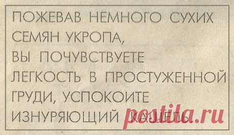 Семена укропа от изнуряющего кашля