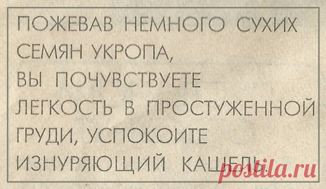 Семена укропа от изнуряющего кашля