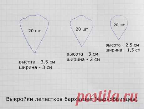 IMG_2596.jpg — Яндекс.Диск