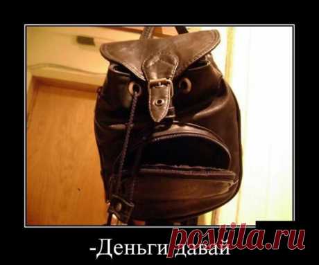 Демотиваторы - приколы