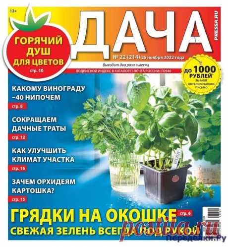 Дача №22 2022 * Переделки.Ру Дача №22 2022 Читать журнал ОНЛАЙН