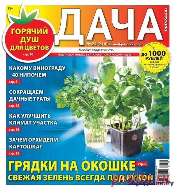 Дача №22 2022 * Переделки.Ру Дача №22 2022 Читать журнал ОНЛАЙН