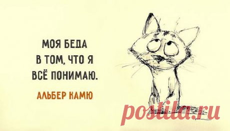 20 цитат «Совести Запада» Альбера Камю