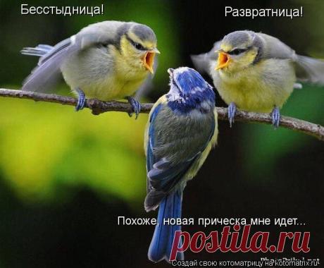 *НАДЕЖДА * ОЧАРОВАНИЕ: Солнце светит всегда!Просто иногда его не видно...