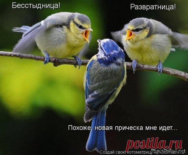 *НАДЕЖДА * ОЧАРОВАНИЕ: Солнце светит всегда!Просто иногда его не видно...