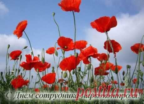 В День работников органов наркоконтроля желаю предосторожности и внимательности, уверенных сил и бравых идей, успешной борьбы с нарушителями.