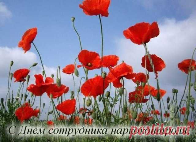 В День работников органов наркоконтроля желаю предосторожности и внимательности, уверенных сил и бравых идей, успешной борьбы с нарушителями.