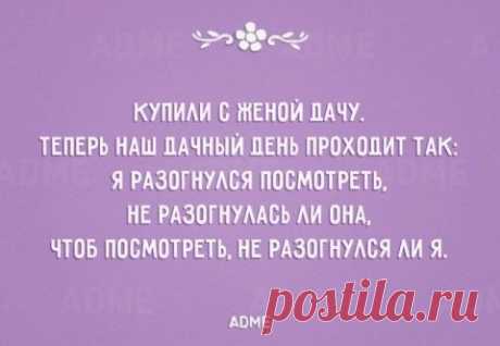 Прикольные открытки про любимых жен и мужей. А куда же мы друг без друга? | ДОСТОЙНАЯ ЖИЗНЬ НА ПЕНСИИ