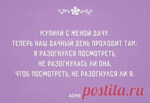 Прикольные открытки про любимых жен и мужей. А куда же мы друг без друга? | ДОСТОЙНАЯ ЖИЗНЬ НА ПЕНСИИ