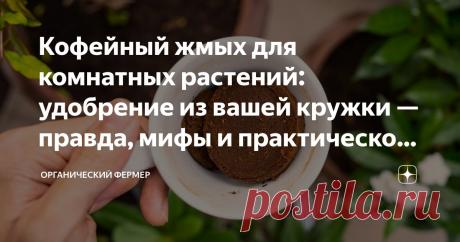 Кофейный жмых для комнатных растений: удобрение из вашей кружки — правда, мифы и практическое руководство Статья автора «Органический фермер » в Дзене ✍:  Каждое утро миллионы людей начинают с ароматной чашки кофе. А затем — отходы: влажная, тёмная гуща, которую большинство выбрасывает, не задумываясь.