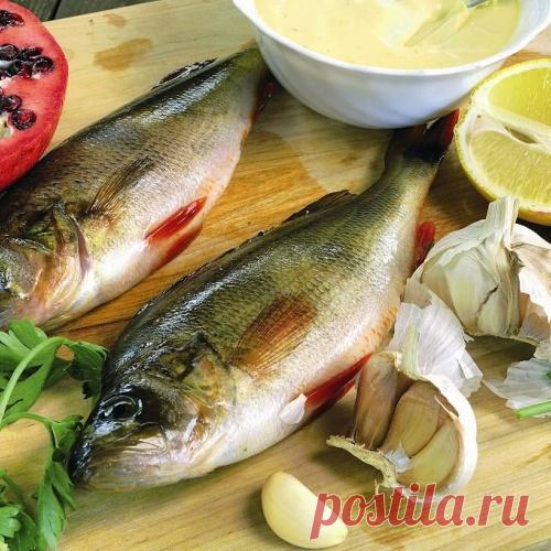 Окунь в чесночно-сметанном соусе