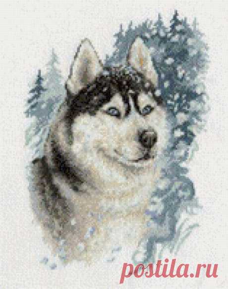 вышитые хаски на машинке: 5 тыс изображений найдено в Яндекс.Картинках