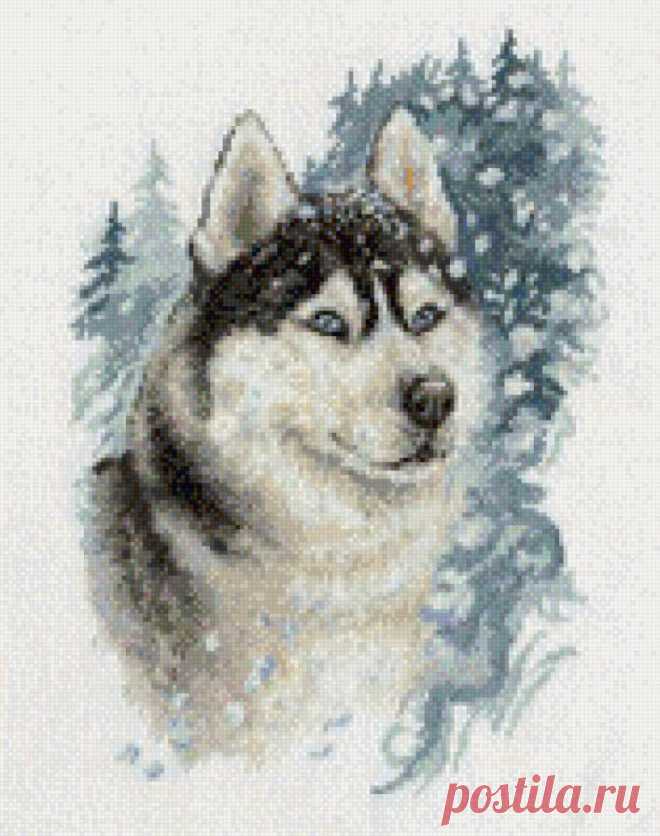 вышитые хаски на машинке: 5 тыс изображений найдено в Яндекс.Картинках