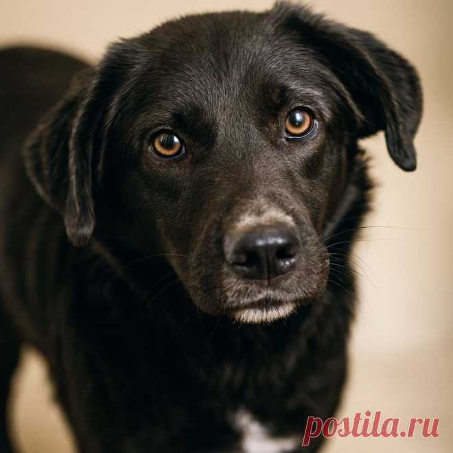 Мария - OGADANIE.RU