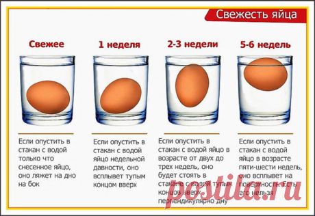 (1) Одноклассники