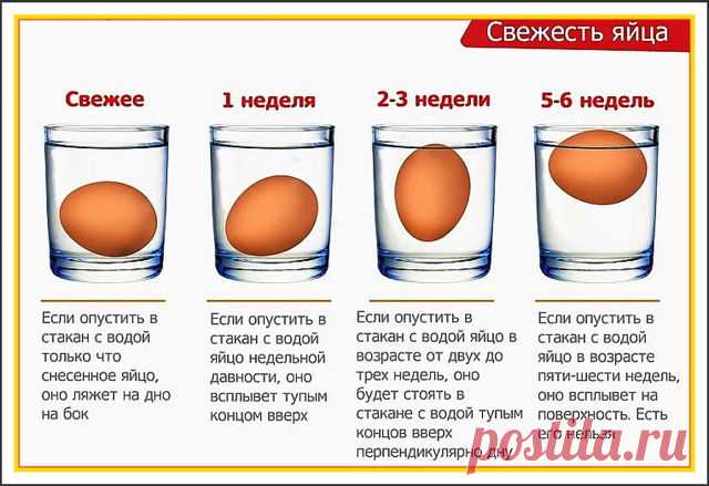 (1) Одноклассники