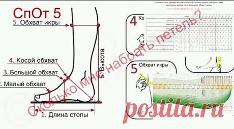 Сколько набрать петель ?