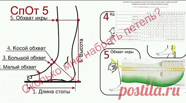 Сколько набрать петель ?