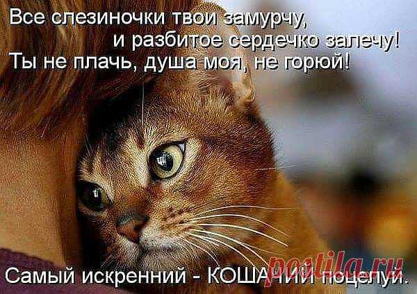☑ Зацепило? Присоединяйся! ☚(ړײ)✌
ЛариSа Ш