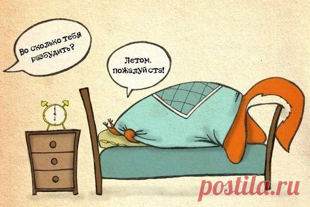 Крошка Ши (Часть 2)