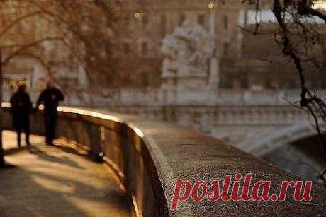 (7) Одноклассники