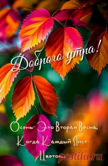 1c15df00.jpg (670×1024)