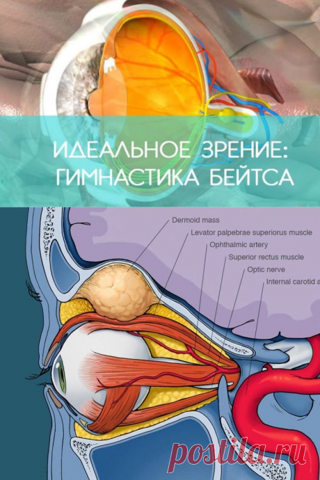 Идеальное зрение: гимнастика БЕЙТСА. Как быстро восстановить зрение: Комплекс упражнений глазной гимнастики БЕЙТСА. За 3 – 4 месяца можно улучшить зрение на 2 – 3 диоптрии! ➡️ Кликайте на фото, чтобы прочитать полностью