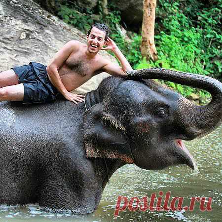 Фотостена - лучшие фотографии путешествий - TripAdvisor