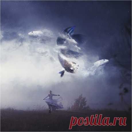 Original: https://cs540100.vk.me/v540100640/b6cf/kUQVeqwfUjo.jpg