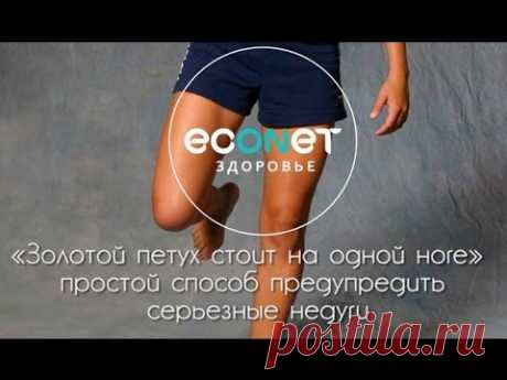Упражнение &quot; Золотой петух стоит на одной ноге&quot; -  ОМОЛОЖЕНИЕ организма! - econet ru