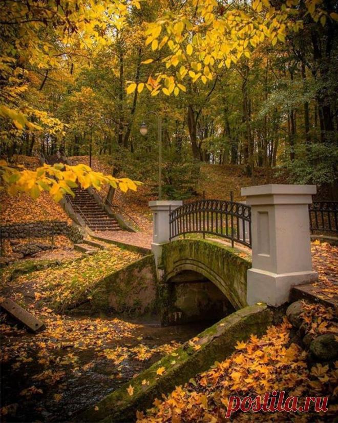 Пин на доске Nature