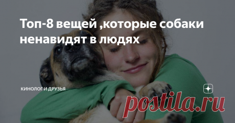 Топ-8 вещей ,которые собаки ненавидят в людях Статья автора «Кинологиня и её озорная семейка» в Дзене ✍: Есть много способов довести собаку до белого каления, но вы можете даже не подозревать, что делаете что-то не то.