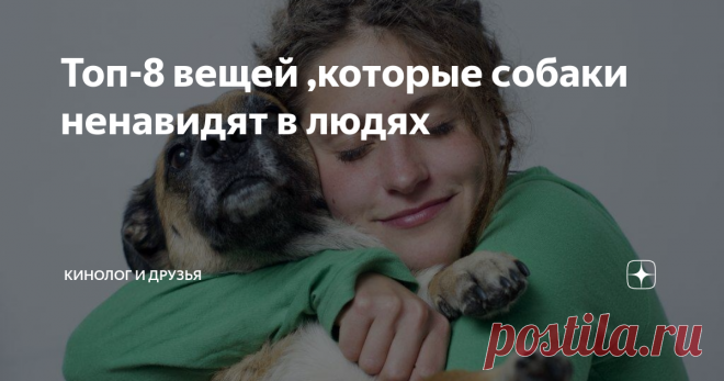 Топ-8 вещей ,которые собаки ненавидят в людях Статья автора «Кинологиня и её озорная семейка» в Дзене ✍: Есть много способов довести собаку до белого каления, но вы можете даже не подозревать, что делаете что-то не то.