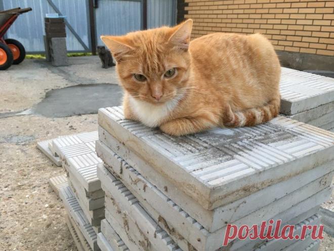 Зачем лить бетон, если двор и отмостку можно выполнить гораздо проще, дешевле, быстрее. (Вариант обустройства с фото) | Есть время под солнцем | Яндекс Дзен