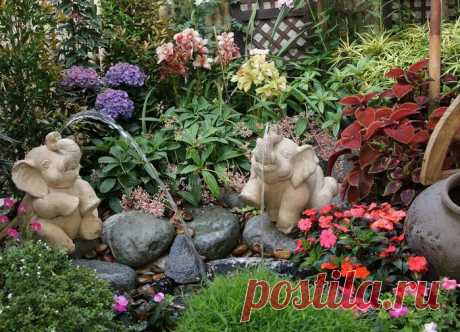 Цветы на даче: секреты и хитрости