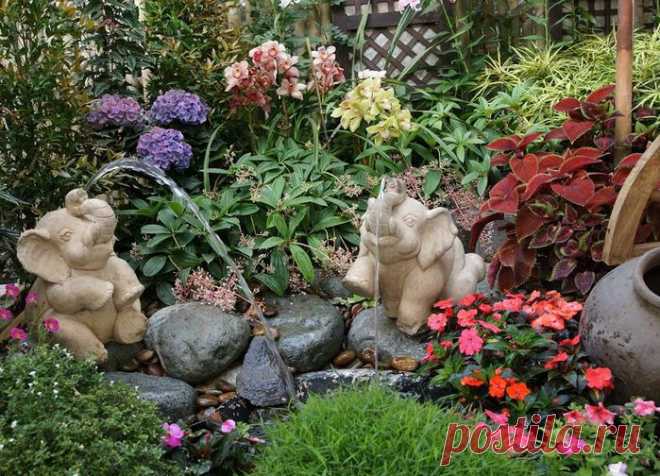 Цветы на даче: секреты и хитрости