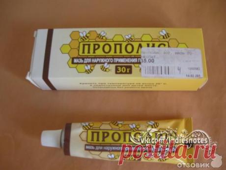 Прополис - лучшее средство от всех болезней. | Женский журнал