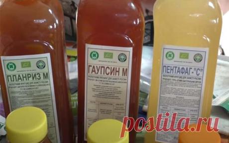 Биологические препараты защиты растений незаменимые помощники