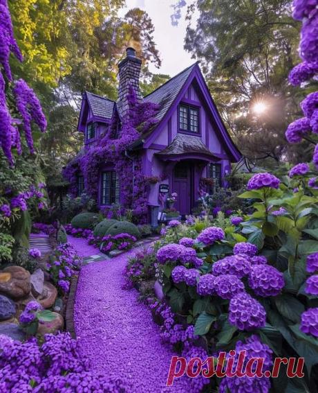 сад в сиреневых тонах