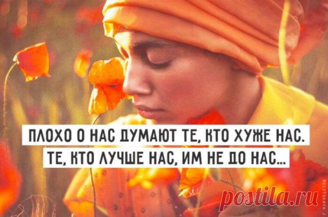 Мудрость через века: лучшие афоризмы Омара Хайяма