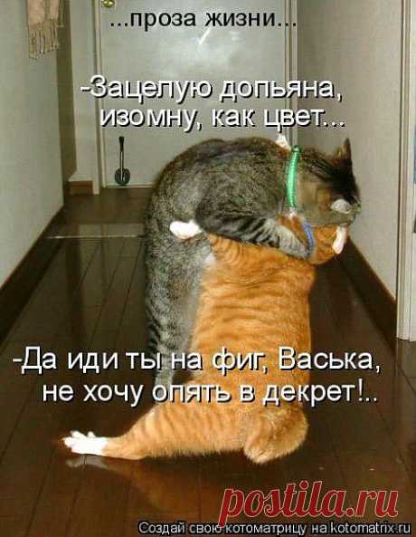 tatya-nikolska — «Найдено в интернете.» на Яндекс.Фотках