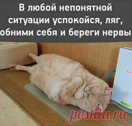 ДЛЯ КОГО АКТУАЛЬНО? делюсь!
*****************************************************
МОЯ САМАЯ ЛУЧШАЯ ЗИМА! 
************************************************************** 
Подписывайтесь в мою группу https://vk.com/public147107419
Показать полностью…