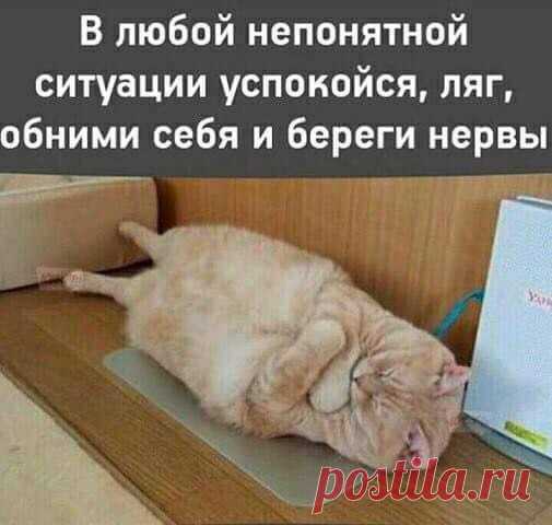 ДЛЯ КОГО АКТУАЛЬНО? делюсь!
*****************************************************
МОЯ САМАЯ ЛУЧШАЯ ЗИМА! 
************************************************************** 
Подписывайтесь в мою группу https://vk.com/public147107419
Показать полностью…