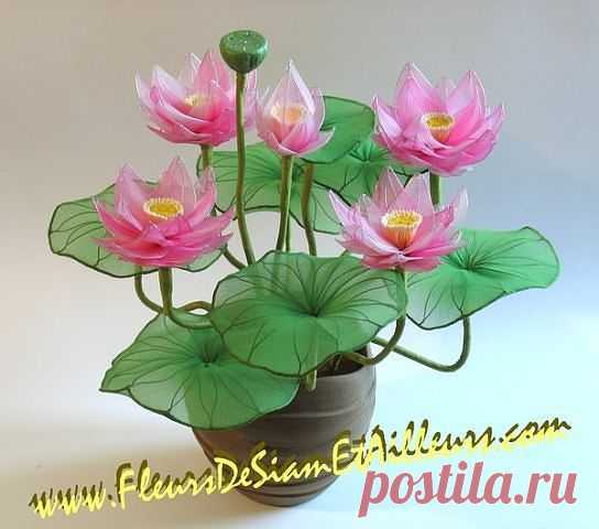 Сарочка Черныш
Израиль, Petah Tikva