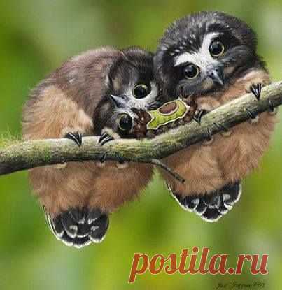 Pinterest: инструмент для поиска и хранения интересных идей